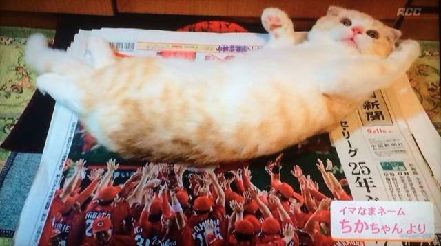 daily picdump 96 pics 11.html - 96 HD Photos | Premium Gallery 2018