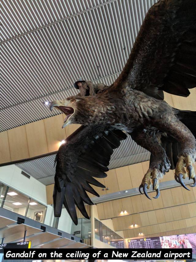 daily picdump 96 pics 11.html - 96 HD Photos | Premium Gallery 2018