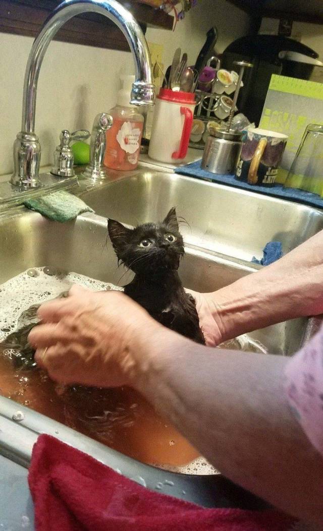 daily picdump 96 pics 11.html - 96 HD Photos | Premium Gallery 2018