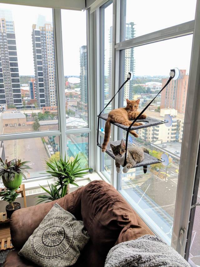 daily picdump 96 pics 11.html - 96 HD Photos | Premium Gallery 2018