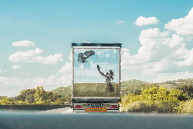 daily picdump 101 pics 33.html - 101 HD Photos | Premium Gallery 2018