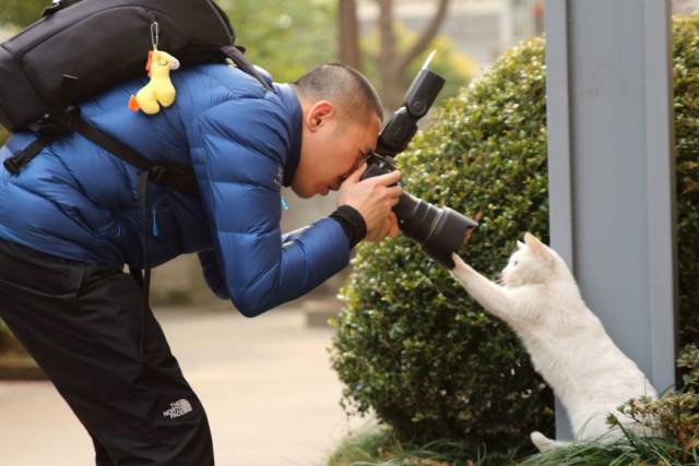 daily picdump 101 pics 33.html - 101 HD Photos | Premium Gallery 2018