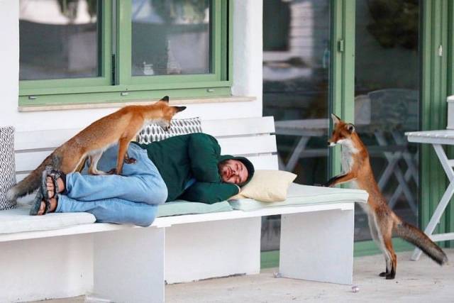 daily picdump 101 pics 33.html - 101 HD Photos | Premium Gallery 2018