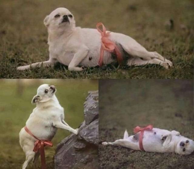 daily picdump 101 pics 33.html - 101 HD Photos | Premium Gallery 2018