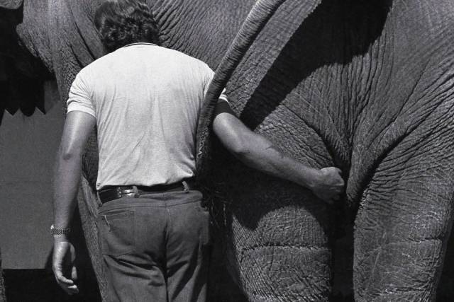 daily picdump 101 pics 33.html - 101 HD Photos | Premium Gallery 2018