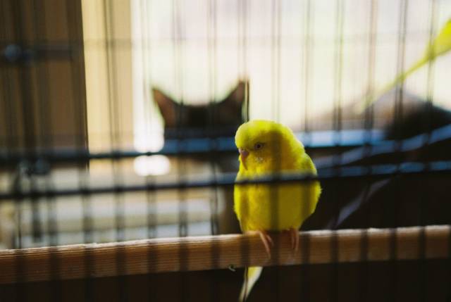 daily picdump 101 pics 33.html - 101 HD Photos | Premium Gallery 2018