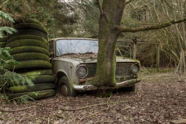 daily picdump 101 pics 33.html - 101 HD Photos | Premium Gallery 2018