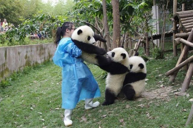 daily picdump 101 pics 33.html - 101 HD Photos | Premium Gallery 2018