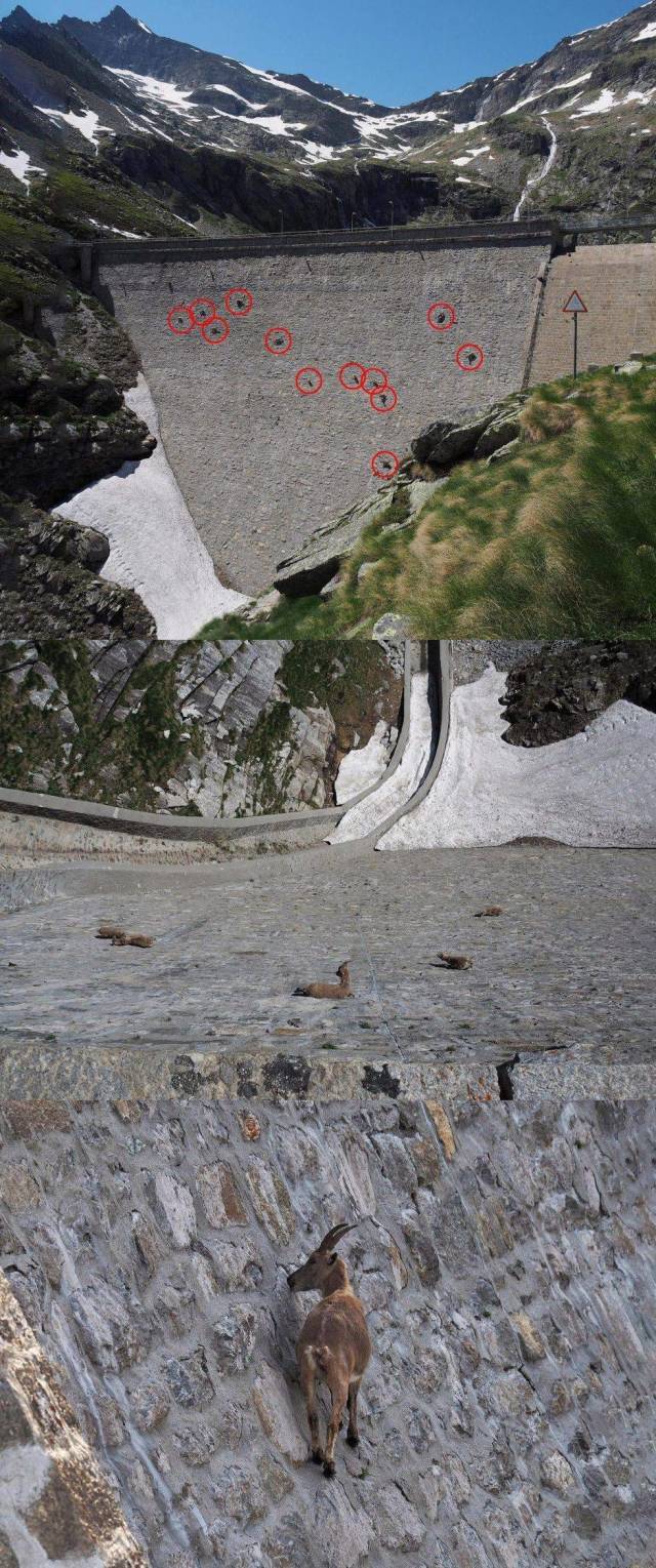 daily picdump 101 pics 33.html - 101 HD Photos | Premium Gallery 2018