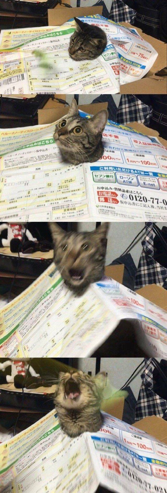 daily picdump 101 pics 33.html - 101 HD Photos | Premium Gallery 2018