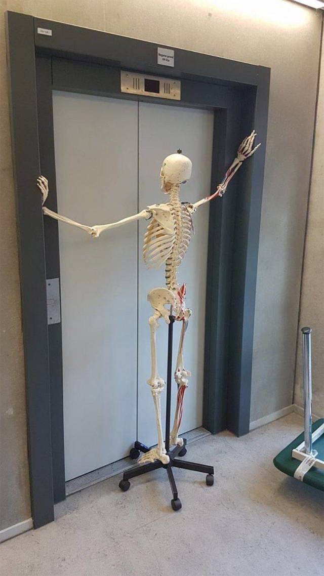 daily picdump 101 pics 33.html - 101 HD Photos | Premium Gallery 2018