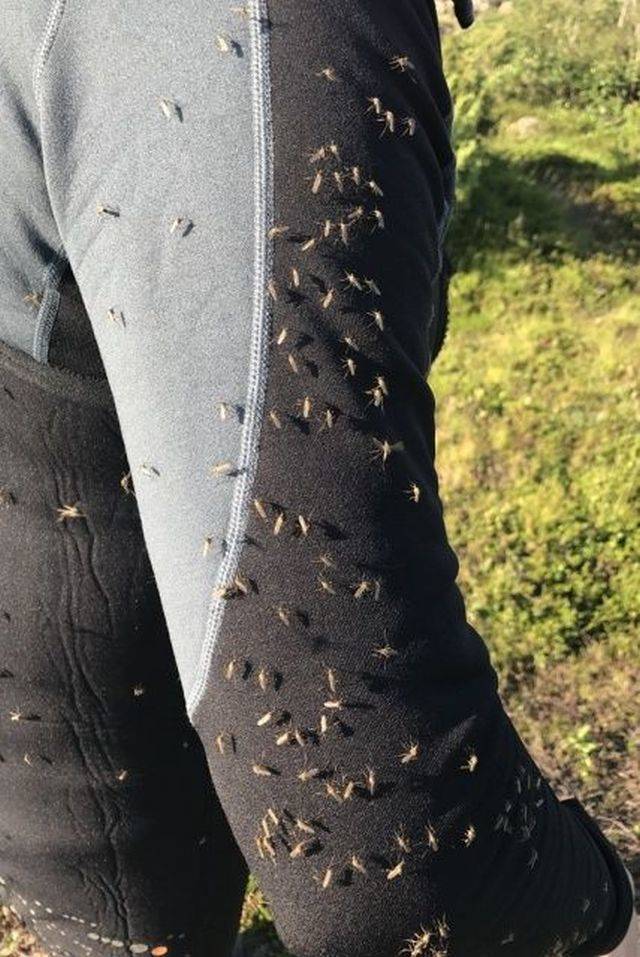 daily picdump 101 pics 33.html - 101 HD Photos | Premium Gallery 2018