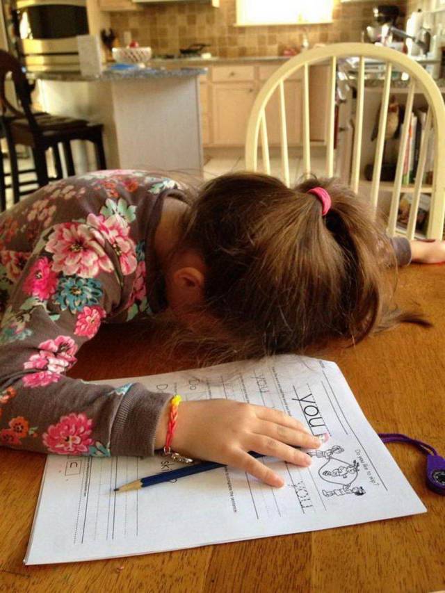 daily picdump 101 pics 33.html - 101 HD Photos | Premium Gallery 2018