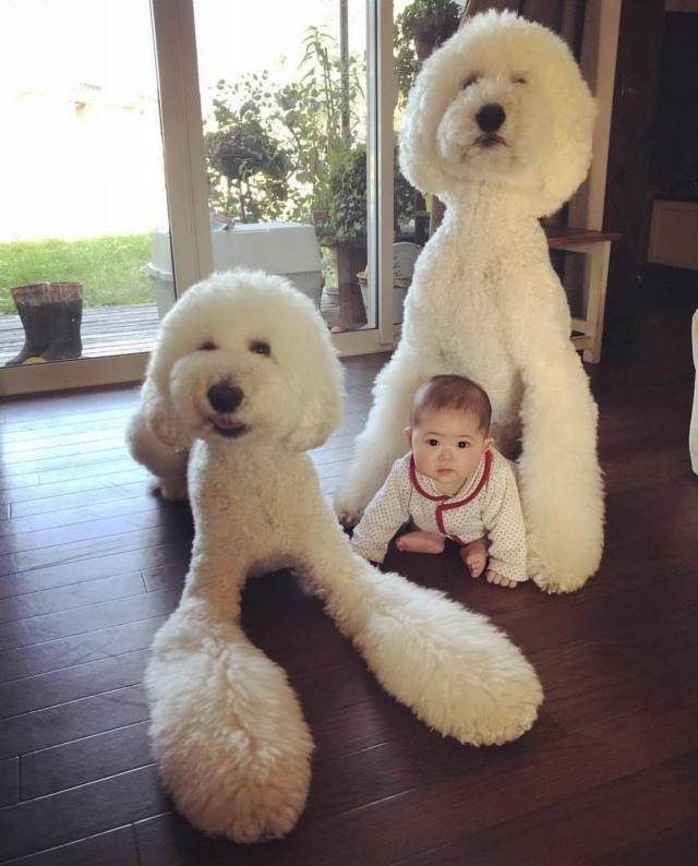 daily picdump 101 pics 33.html - 101 HD Photos | Premium Gallery 2018