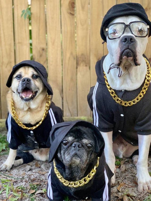 daily picdump 101 pics 33.html - 101 HD Photos | Premium Gallery 2018