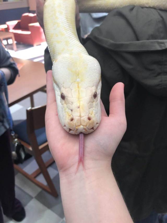 daily picdump 95 pics 17.html - 95 HD Photos | Premium Gallery 2018