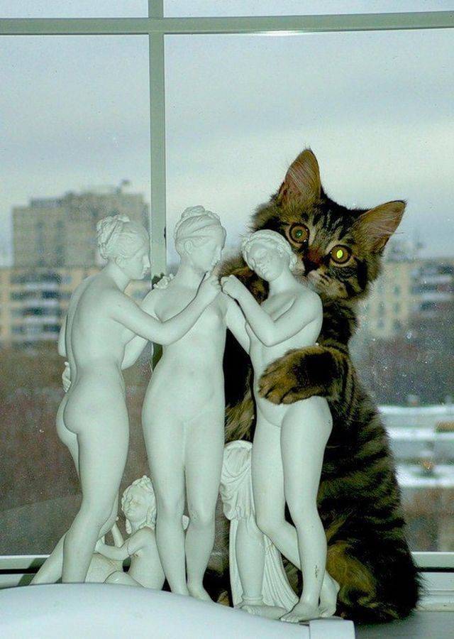 daily picdump 95 pics 17.html - 95 HD Photos | Premium Gallery 2018