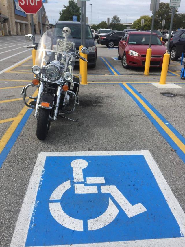 daily picdump 95 pics 17.html - 95 HD Photos | Premium Gallery 2018