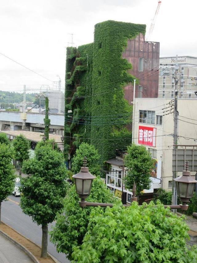 daily picdump 95 pics 17.html - 95 HD Photos | Premium Gallery 2018