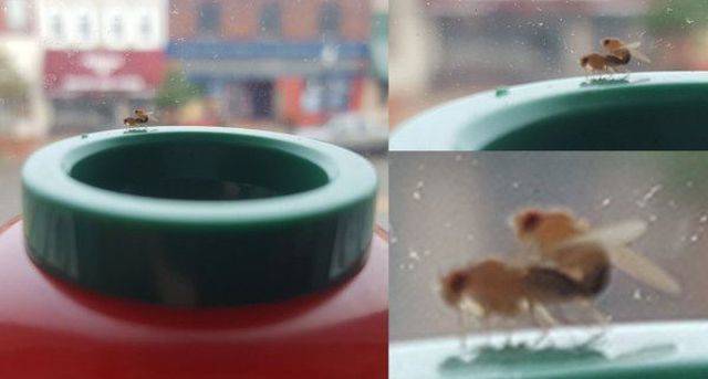 Dirty Mind, Come Here!