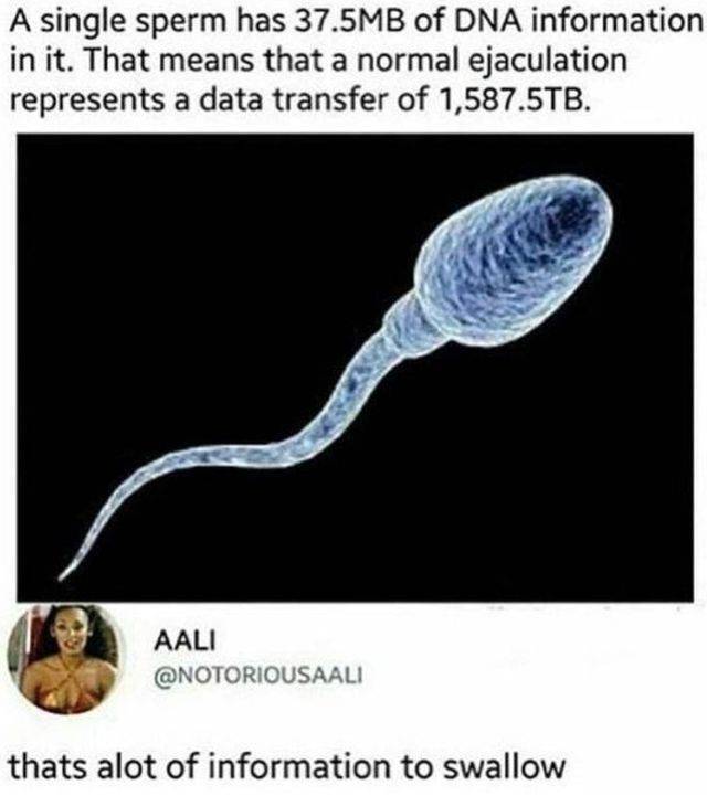 Dirty Mind, Come Here!