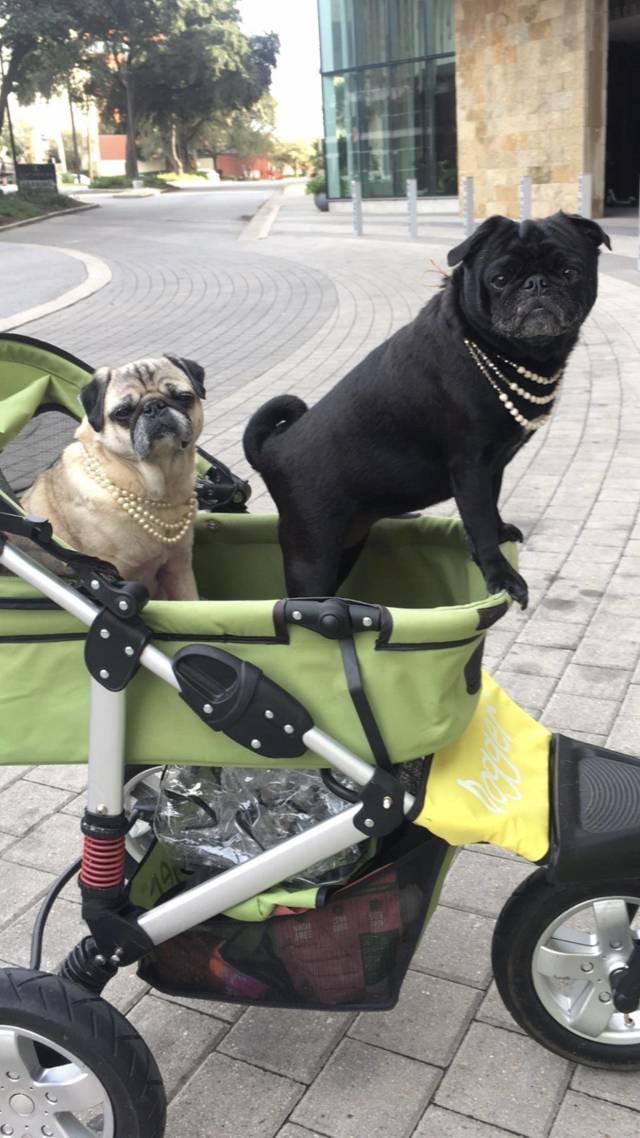 morning picdump 51 pics 2.html - 51 HD Photos | Premium Gallery 2018