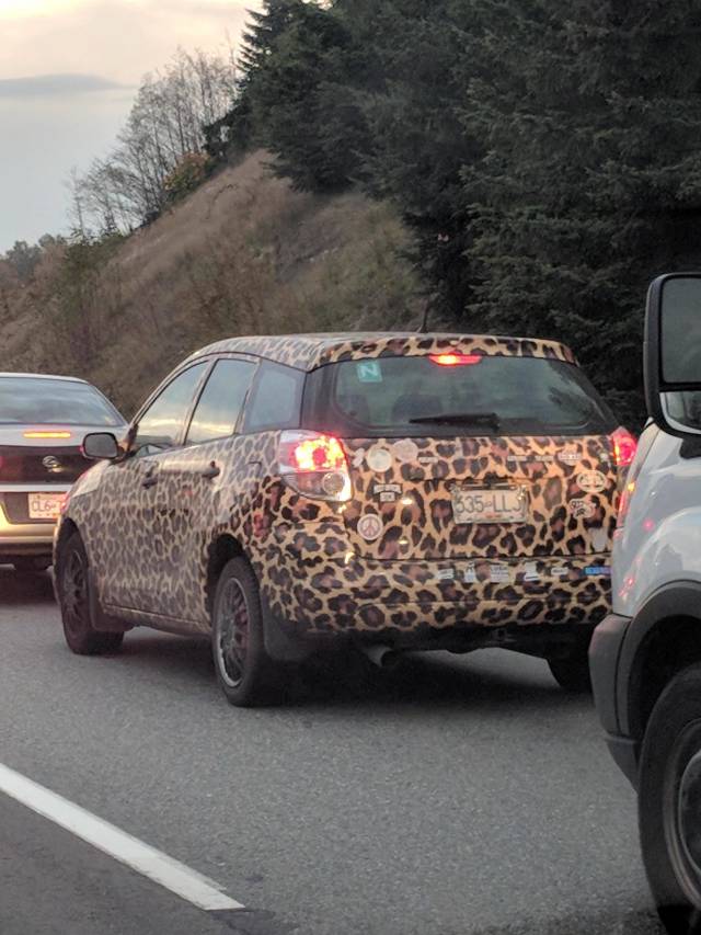 morning picdump 51 pics 2.html - 51 HD Photos | Premium Gallery 2018