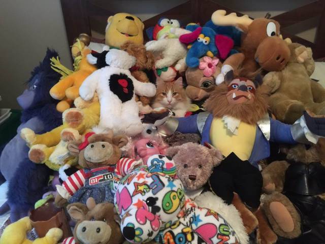 daily picdump 94 pics 6.html - 94 HD Photos | Premium Gallery 2018