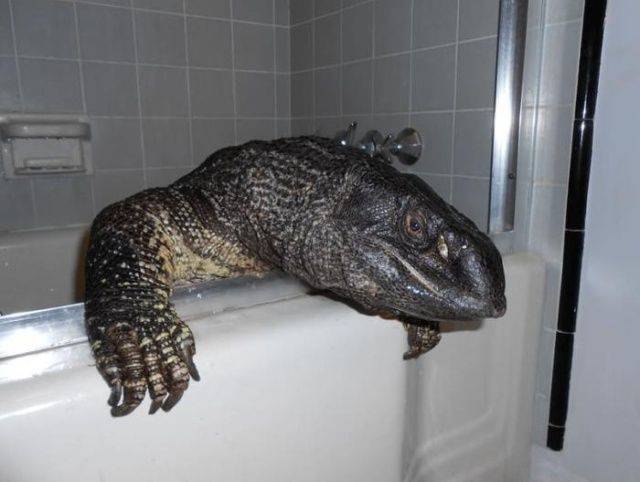 daily picdump 94 pics 6.html - 94 HD Photos | Premium Gallery 2018