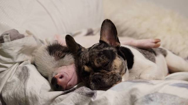 daily picdump 94 pics 6.html - 94 HD Photos | Premium Gallery 2018