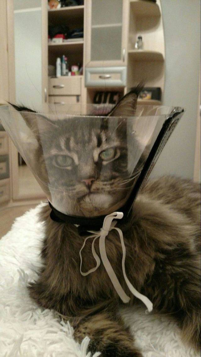 daily picdump 94 pics 6.html - 94 HD Photos | Premium Gallery 2018