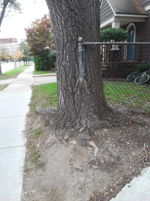 daily picdump 94 pics 6.html - 94 HD Photos | Premium Gallery 2018