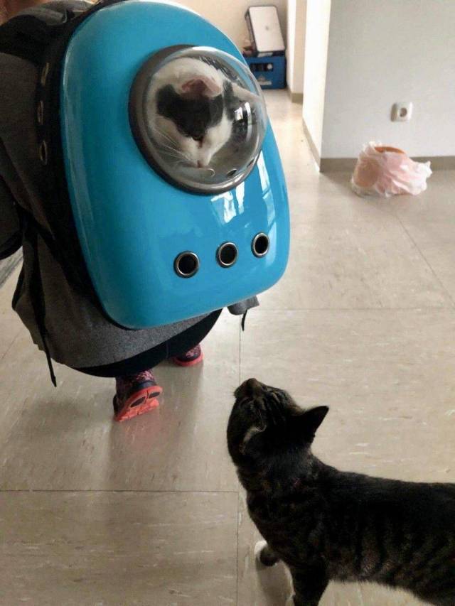 daily picdump 94 pics 6.html - 94 HD Photos | Premium Gallery 2018