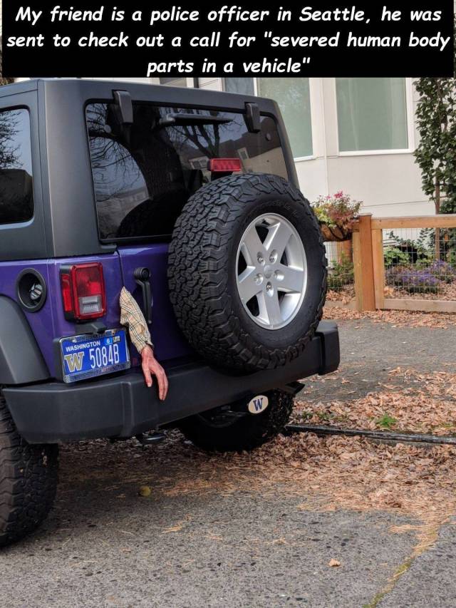 daily picdump 94 pics 6.html - 94 HD Photos | Premium Gallery 2018