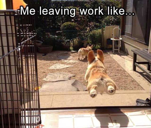 funny picdump 54 pics 4.html - 54 HD Photos | Premium Gallery 2018