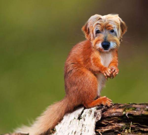 funny picdump 54 pics 4.html - 54 HD Photos | Premium Gallery 2018