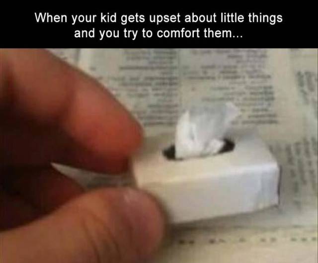 funny picdump 54 pics 4.html - 54 HD Photos | Premium Gallery 2018