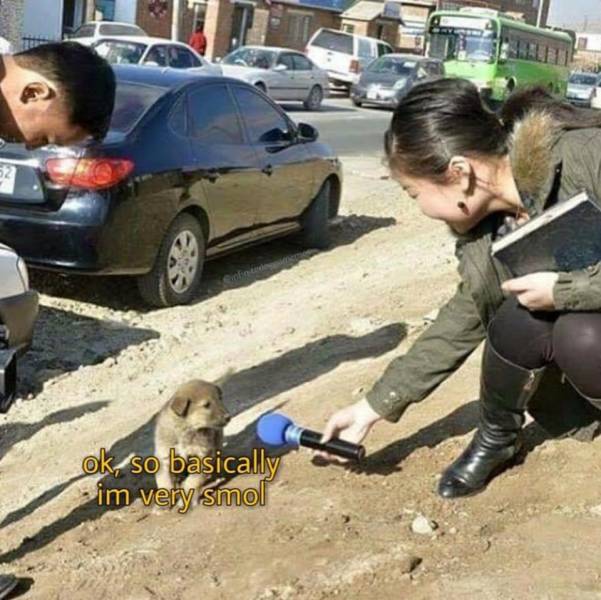 morning picdump 50 pics 5.html - 50 HD Photos | Premium Gallery 2018