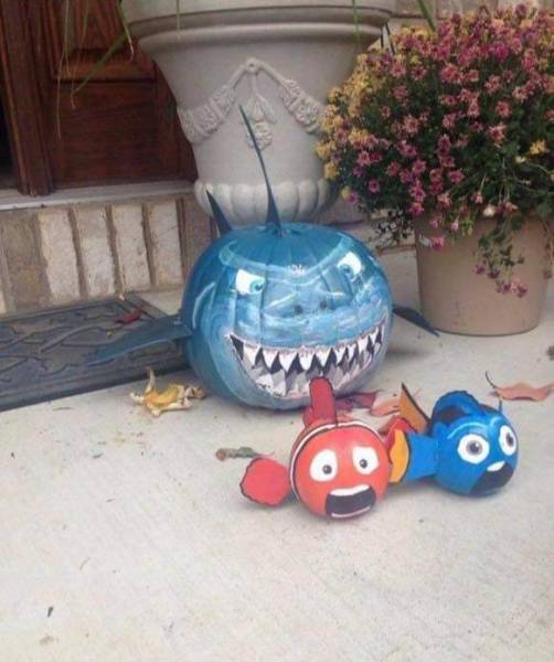 morning picdump 50 pics 5.html - 50 HD Photos | Premium Gallery 2018