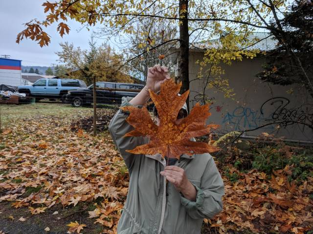 morning picdump 50 pics 5.html - 50 HD Photos | Premium Gallery 2018