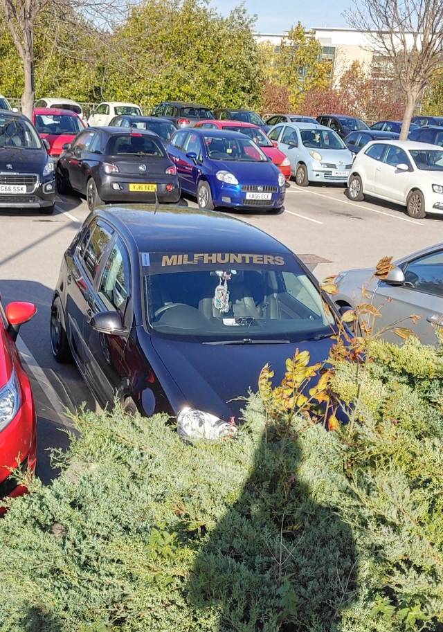 morning picdump 50 pics 5.html - 50 HD Photos | Premium Gallery 2018