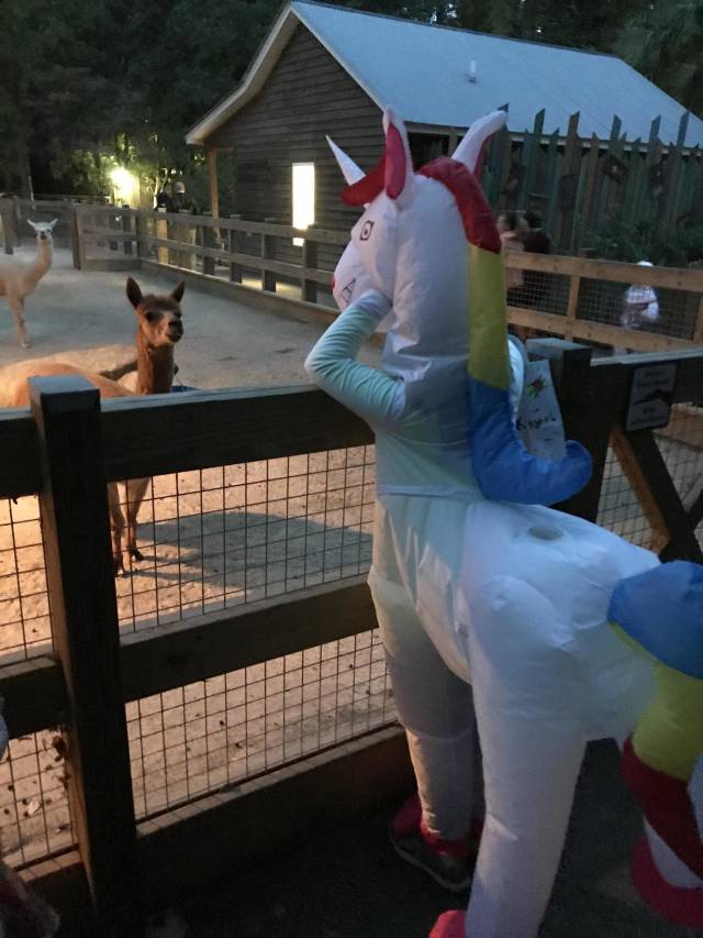 morning picdump 50 pics 5.html - 50 HD Photos | Premium Gallery 2018