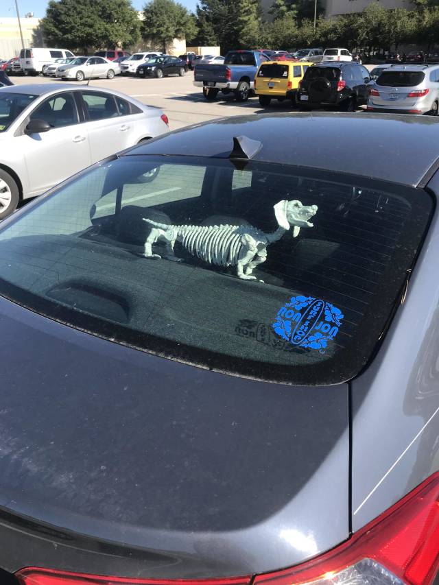 morning picdump 50 pics 5.html - 50 HD Photos | Premium Gallery 2018