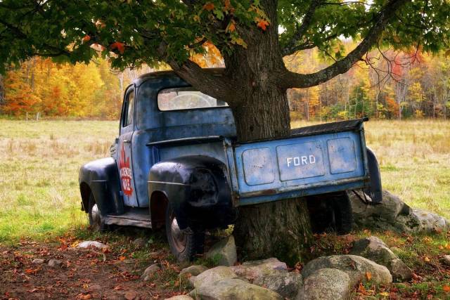 daily picdump 100 pics 41.html - 100 HD Photos | Premium Gallery 2018