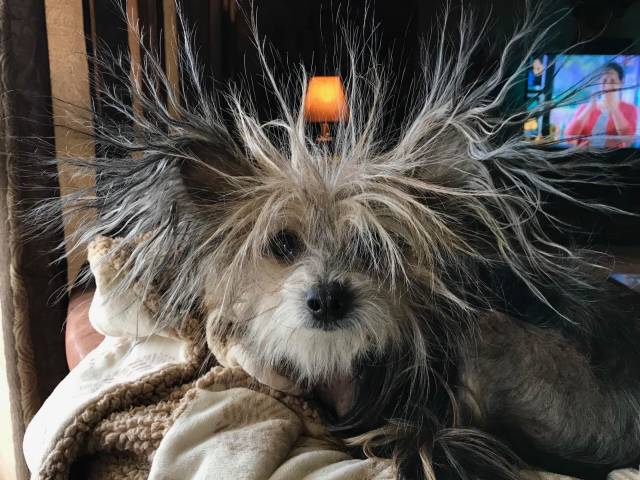 daily picdump 100 pics 41.html - 100 HD Photos | Premium Gallery 2018