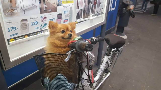 daily picdump 100 pics 41.html - 100 HD Photos | Premium Gallery 2018