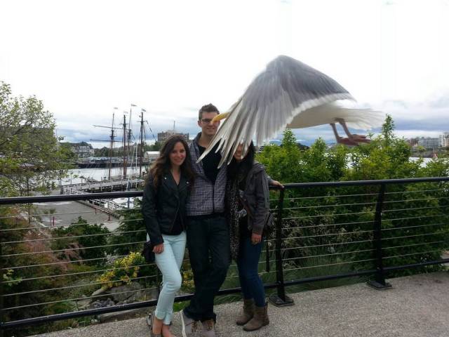 daily picdump 100 pics 41.html - 100 HD Photos | Premium Gallery 2018