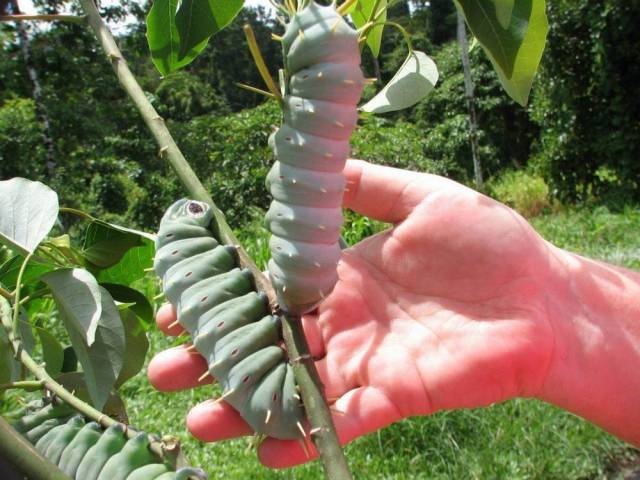 daily picdump 100 pics 41.html - 100 HD Photos | Premium Gallery 2018