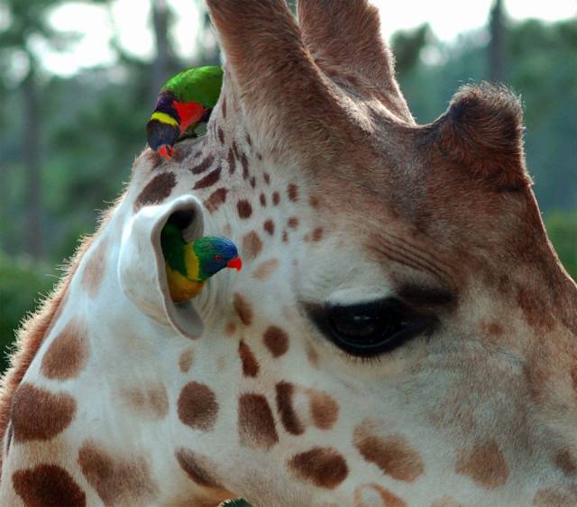 daily picdump 100 pics 41.html - 100 HD Photos | Premium Gallery 2018