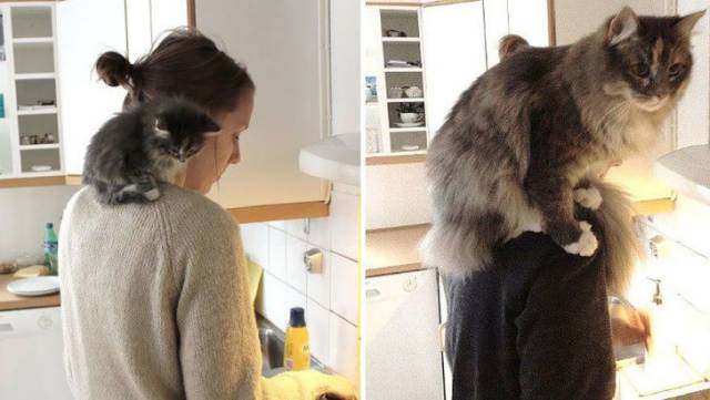 daily picdump 100 pics 41.html - 100 HD Photos | Premium Gallery 2018